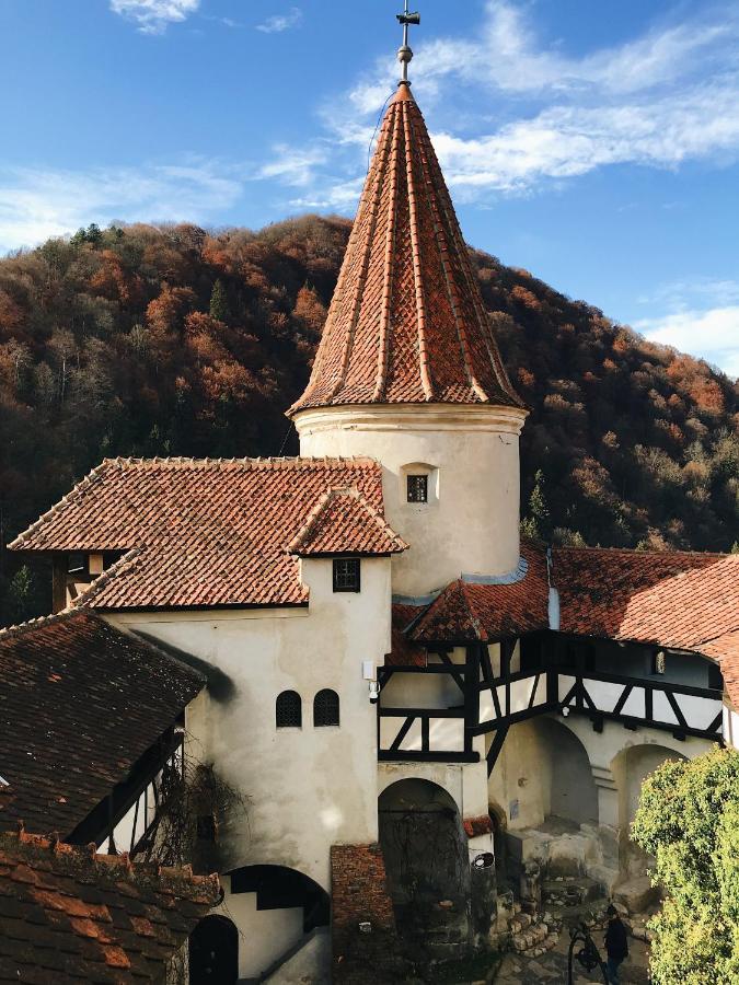 Вилла Casa De Sus Брашов Экстерьер фото